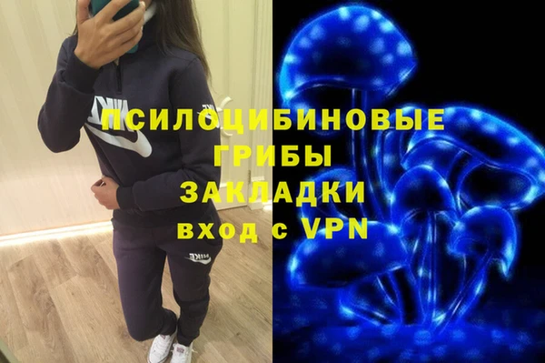 гидра Бугульма